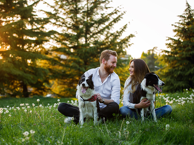 Pets Zone